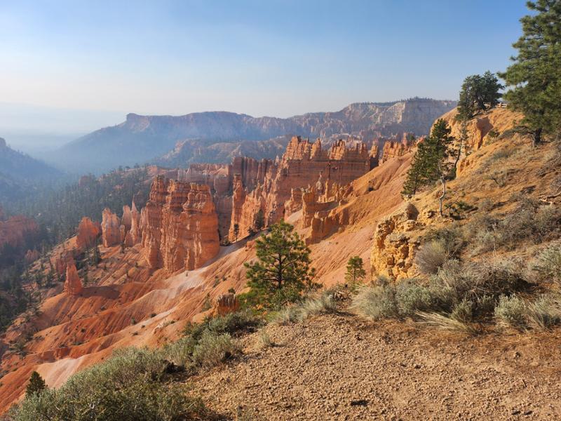 Scenic Parks Explorer