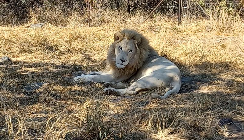 Awesome Safari Holiday!🐘