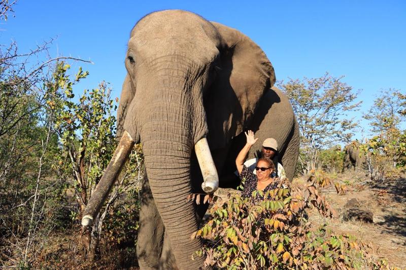 Awesome Safari Holiday!🐘