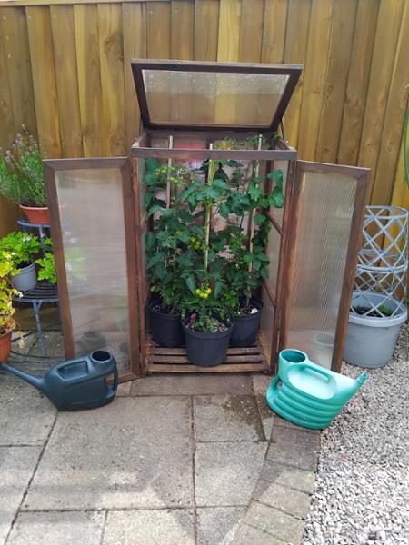 5 x 4 Wooden Greenhouse, Timber Panelling, 655mm High