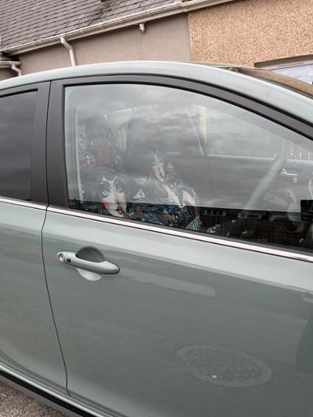 Picanto