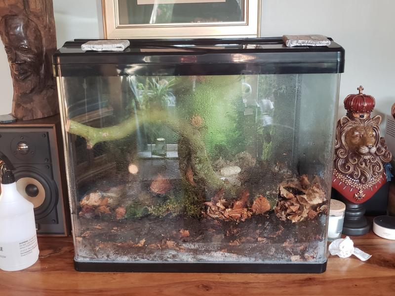 Great aquarium, excellent price and brilliant customer service.