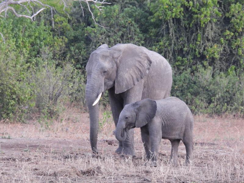 Amazing trip to Africa with Go2Africa