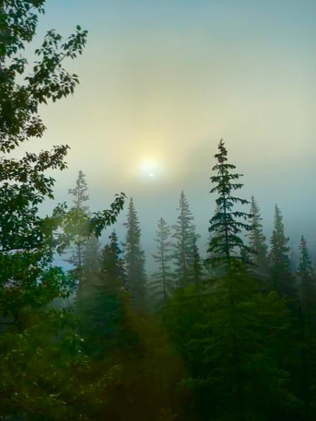 Canadian Rockies and Alaska's Inside Passage featuring Rocky Mountaineer on 06/18/2025