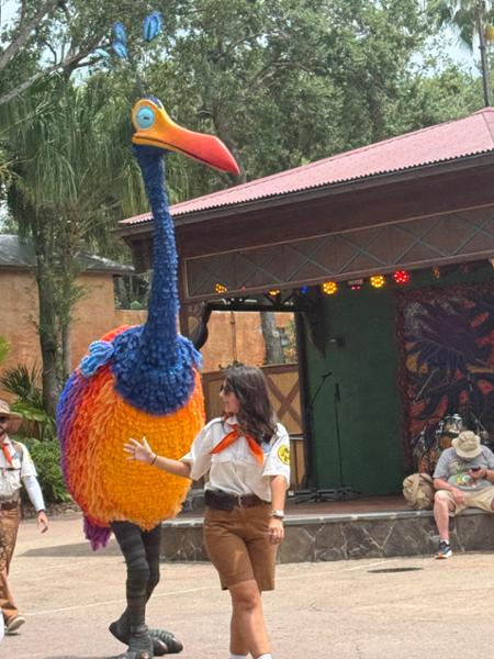 Attraction Tickets are Brilliant
