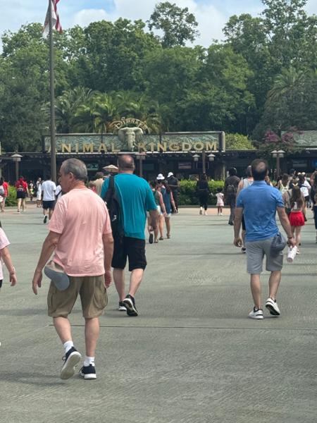 Attraction Tickets are Brilliant