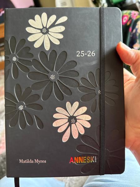 Another perfect diary