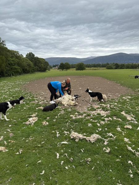 Fun in Scotland