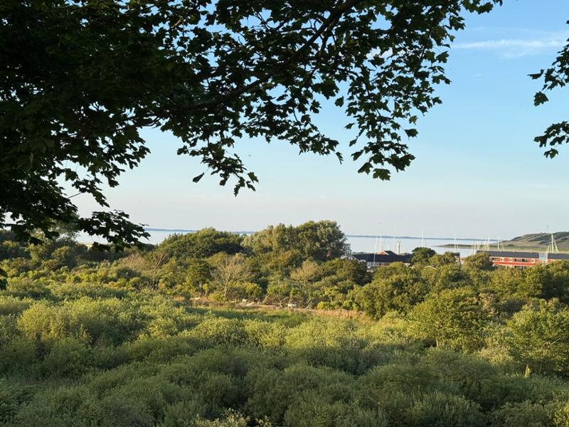 Hotel Ved Fjorden