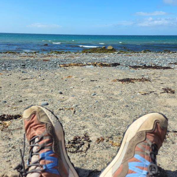 Tigh Samhradh: peaceful, dog & people friendly seaside hideaway