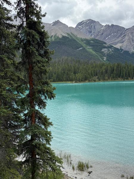 Majesty of the Rockies
