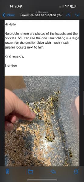 Bulk Locusts and Silent Crickets
