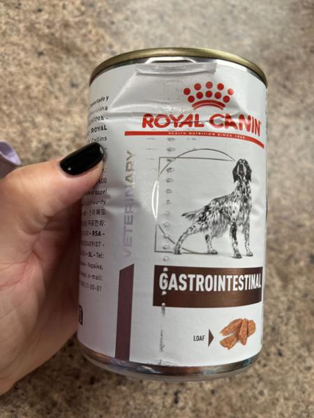 Royal Canin Veterinary Diet Gastro Intestinal Canine Wet