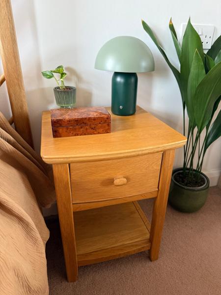 Modern Rechargeable Mushroom Table Lamp in Forest and Olive Green - Touch Dimmer