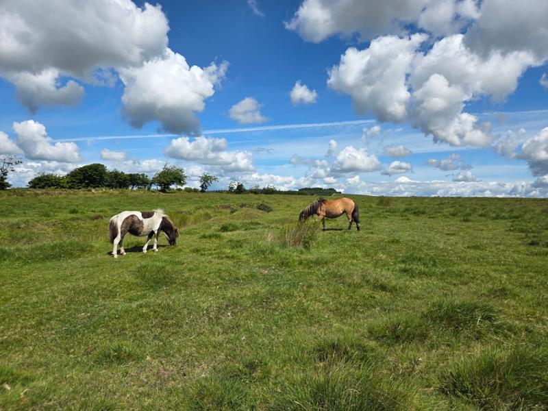 Best of Devon and Cornwall