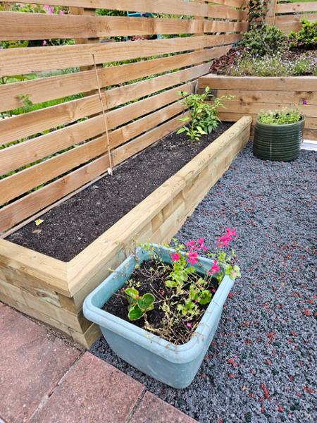 New raised bed.