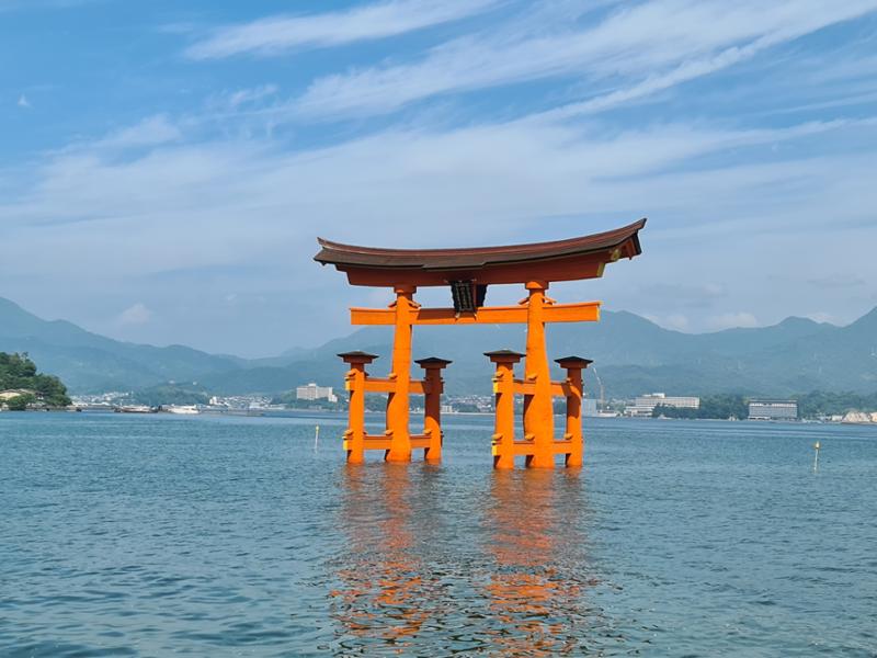 Japan Discovery