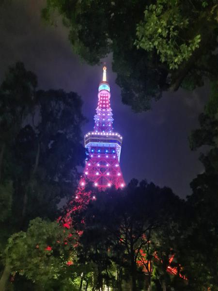 Japan Discovery