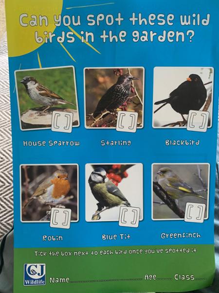 CJ's Children's Free Activity Sheets