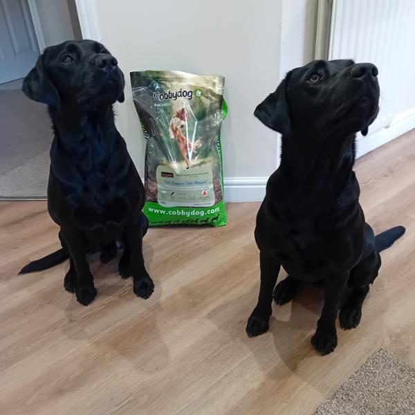 Fish Supper Cold Pressed Dog Food with Turmeraid 3Kg