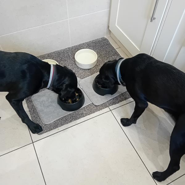 Fish Supper Cold Pressed Dog Food with Turmeraid 3Kg