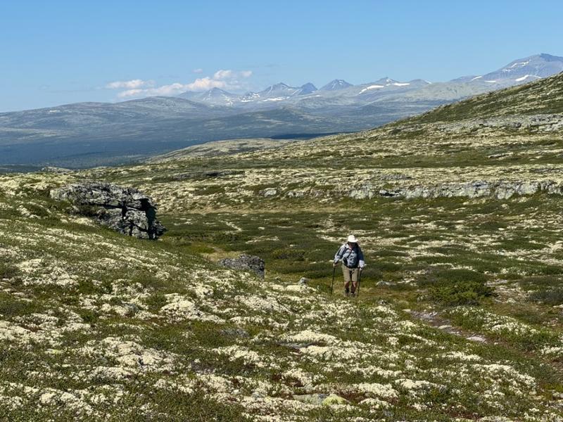 Your holiday: Walking in Norway's Rondane - Guided Walking