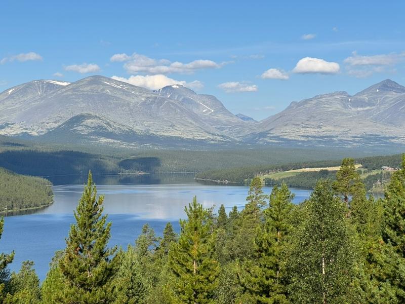 Your holiday: Walking in Norway's Rondane - Guided Walking