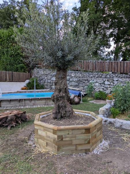 Jardiniere octogonale 1.65m