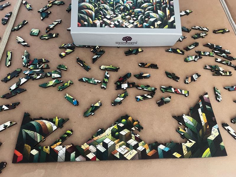 A challenging, colourful, tactile perfectly laser cut...fits together great