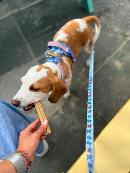 Cheese Dental Sticks | 7 Sticks | Cheese Chews For Dogs | Grain-Free & Vegetarian | Vet Recommended | Natural Ingredients | Pooch & Mutt