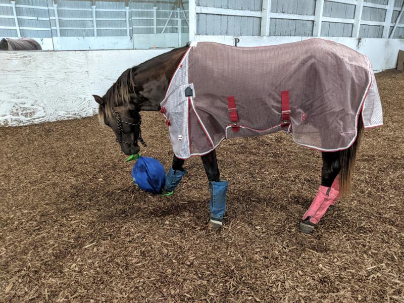 Good Flysheet