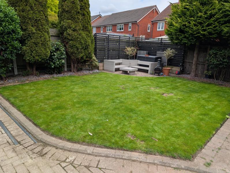 Amazing transformation