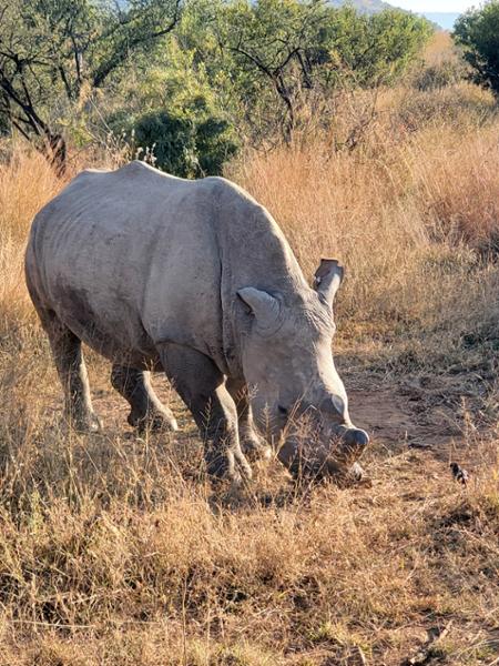 Exploring South Africa, Victoria Falls, and Botswana on 06/24/2025