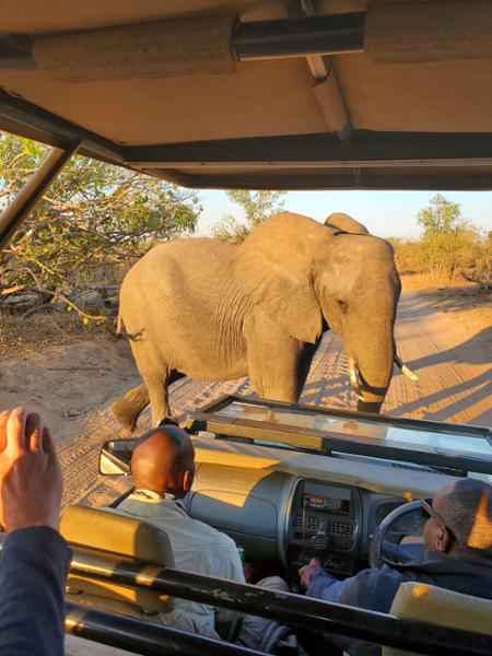 Exploring South Africa, Victoria Falls, and Botswana on 06/24/2025