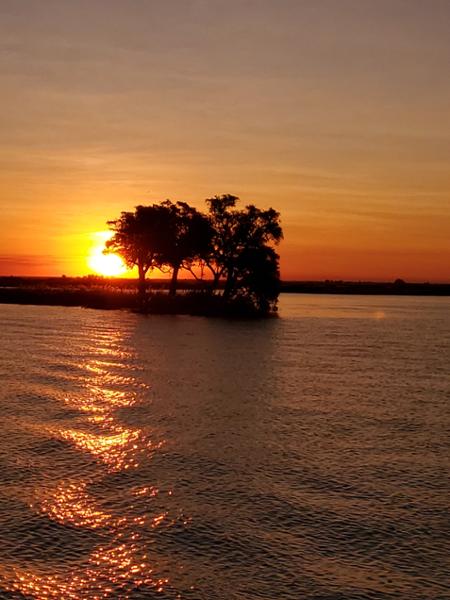 Exploring South Africa, Victoria Falls, and Botswana on 06/24/2025