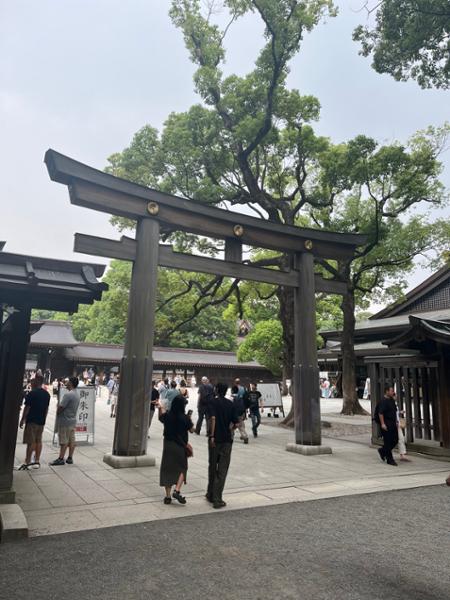 Majestic Japan