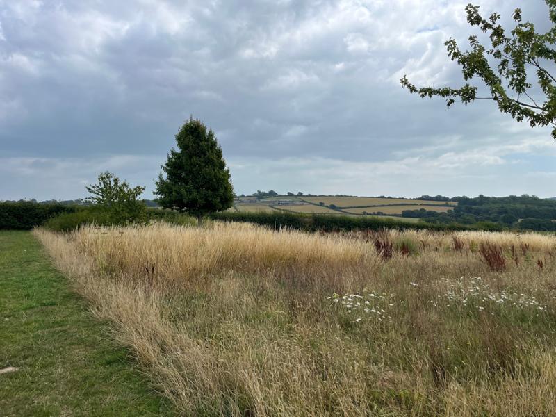 Portsmouth - Fishbourne route