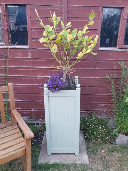 Deep Versailles planter