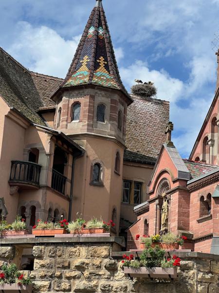 Castles along The Rhine