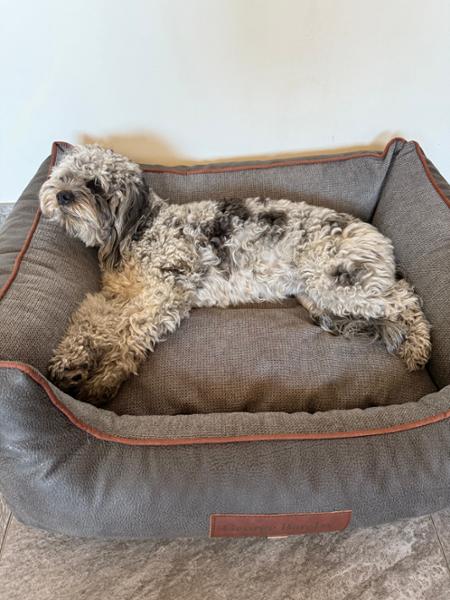 Beckley Orthopaedic Walled Dog Bed - Anthracite/Cloud - Medium - Replacement Cover - George Barclay