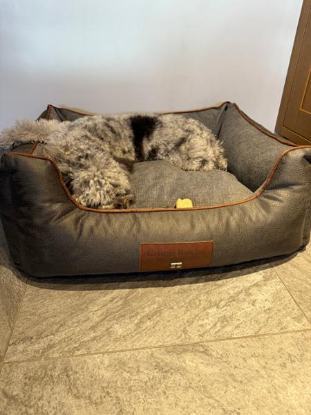 Beckley Orthopaedic Walled Dog Bed - Anthracite/Cloud - Medium - Replacement Cover - George Barclay