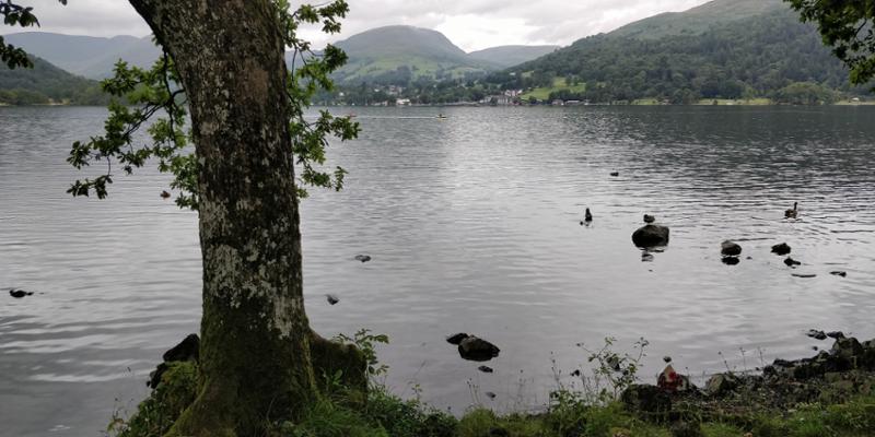 Low Wray Campsite