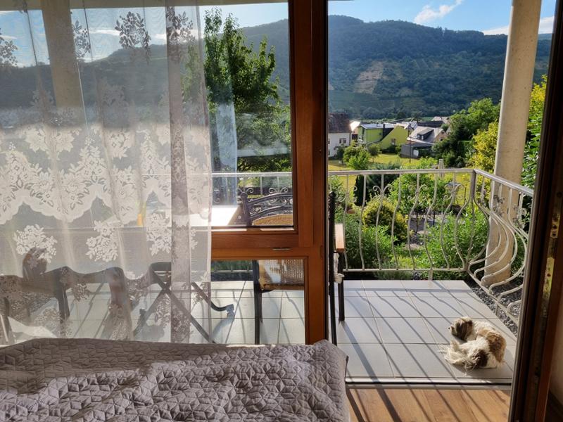 Hotel Moselblick