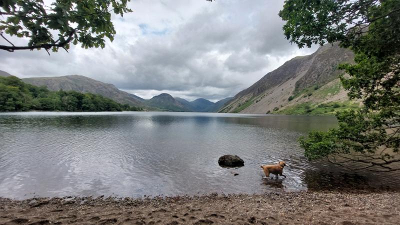 Wasdale Hall Lodge