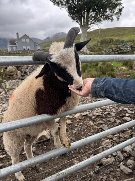 Highlights of Ireland and Scotland