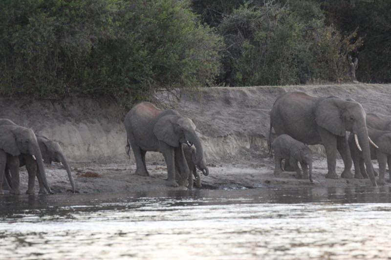 Amazing African Trip