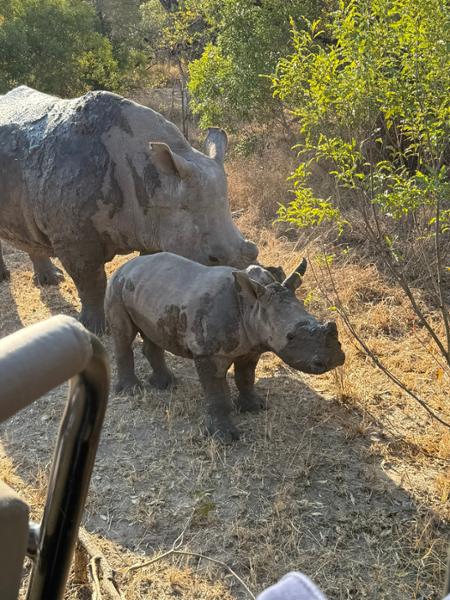 Amazing African Trip
