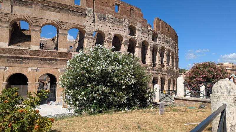 Grande Italia