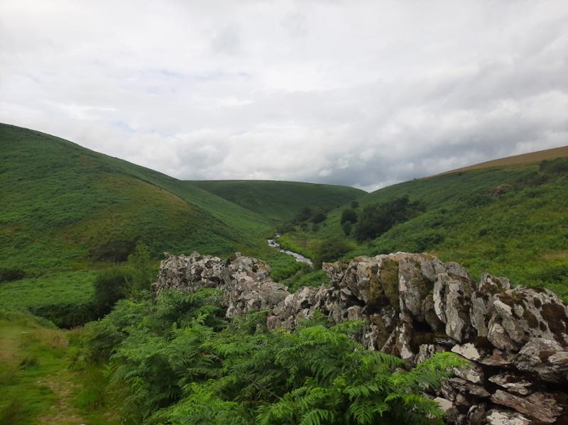 fantastic trail