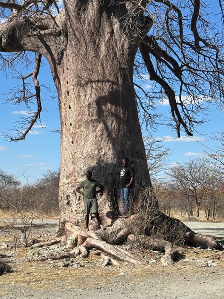 5462-Ultimate African Adventure